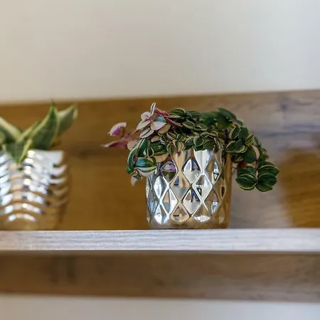 Haus Scherz * Schladming