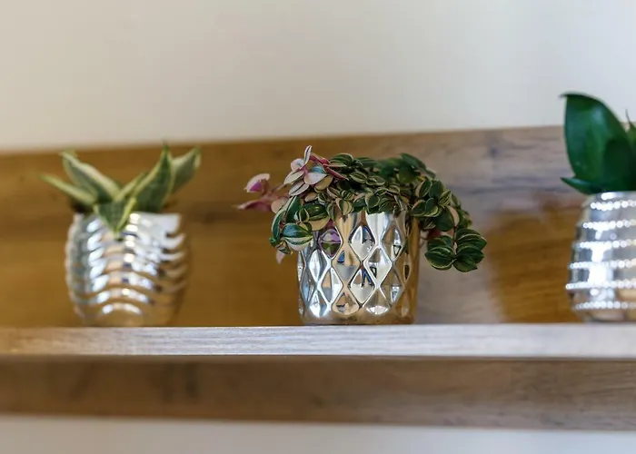 Haus Scherz * 斯拉德明